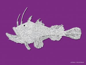 NEW_BIG_382x292_Brights_6