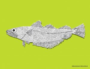 NEW_BIG_382x292_Brights_62