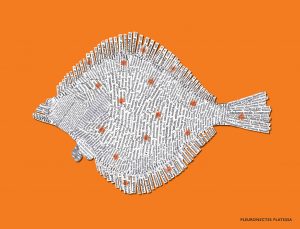 NEW_BIG_382x292_Brights_64