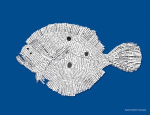 NEW_BIG_382x292_Brights_65