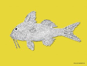 NEW_BIG_382x292_Brights_66