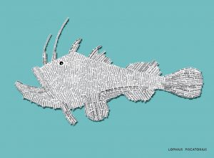 NEW_SMALL_292x216_muted_62