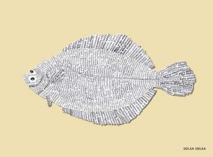 NEW_SMALL_292x216_muted_64