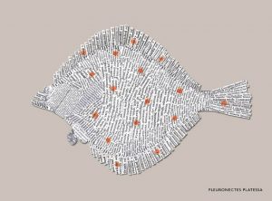 NEW_SMALL_292x216_muted_65