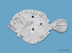 NEW_SMALL_292x216_muted_66