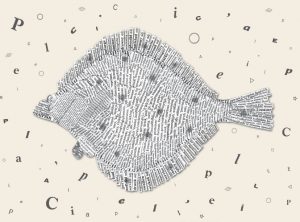fish&letters_292x216_finals_6pdf5